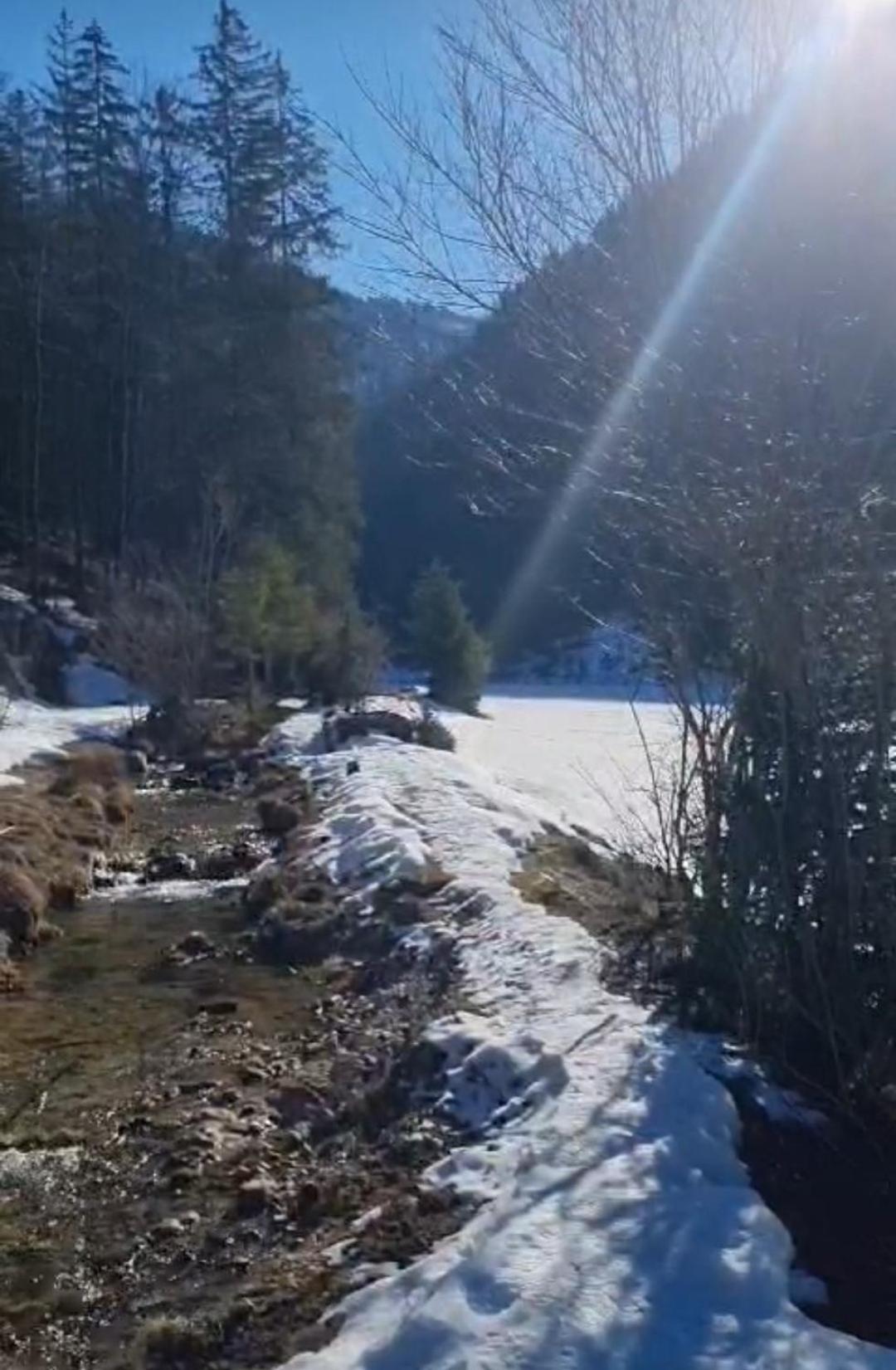 Bio Bauernhof Geisl Lägenhet Sankt Ulrich am Pillersee Exteriör bild