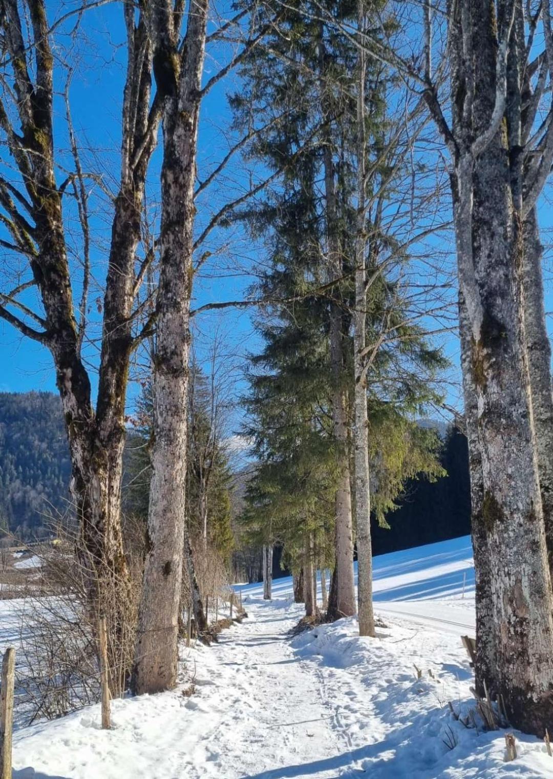 Bio Bauernhof Geisl Lägenhet Sankt Ulrich am Pillersee Exteriör bild